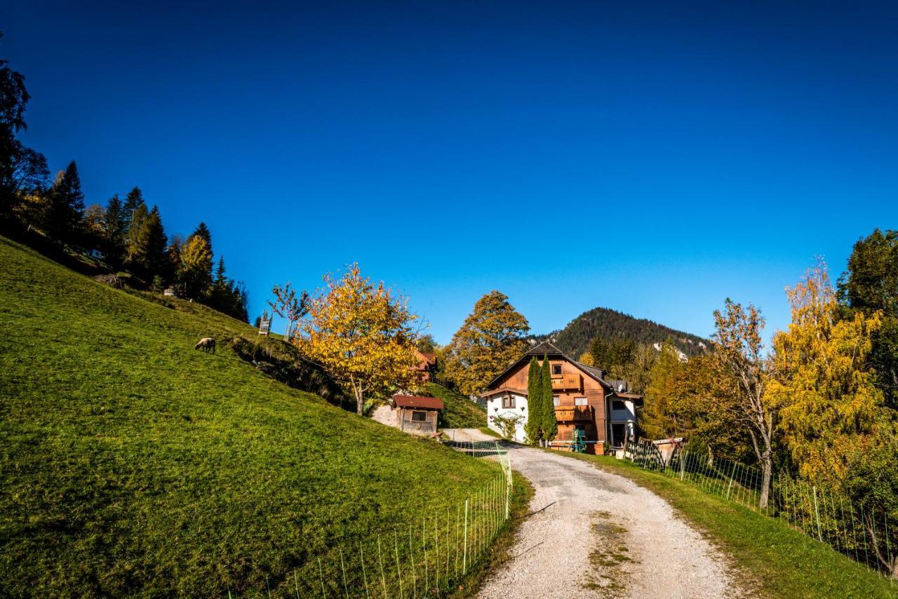 Stallhaeusl Schladming Luaran gambar