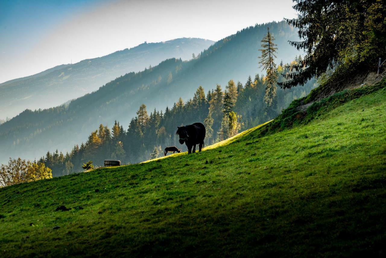 Stallhaeusl Schladming Luaran gambar